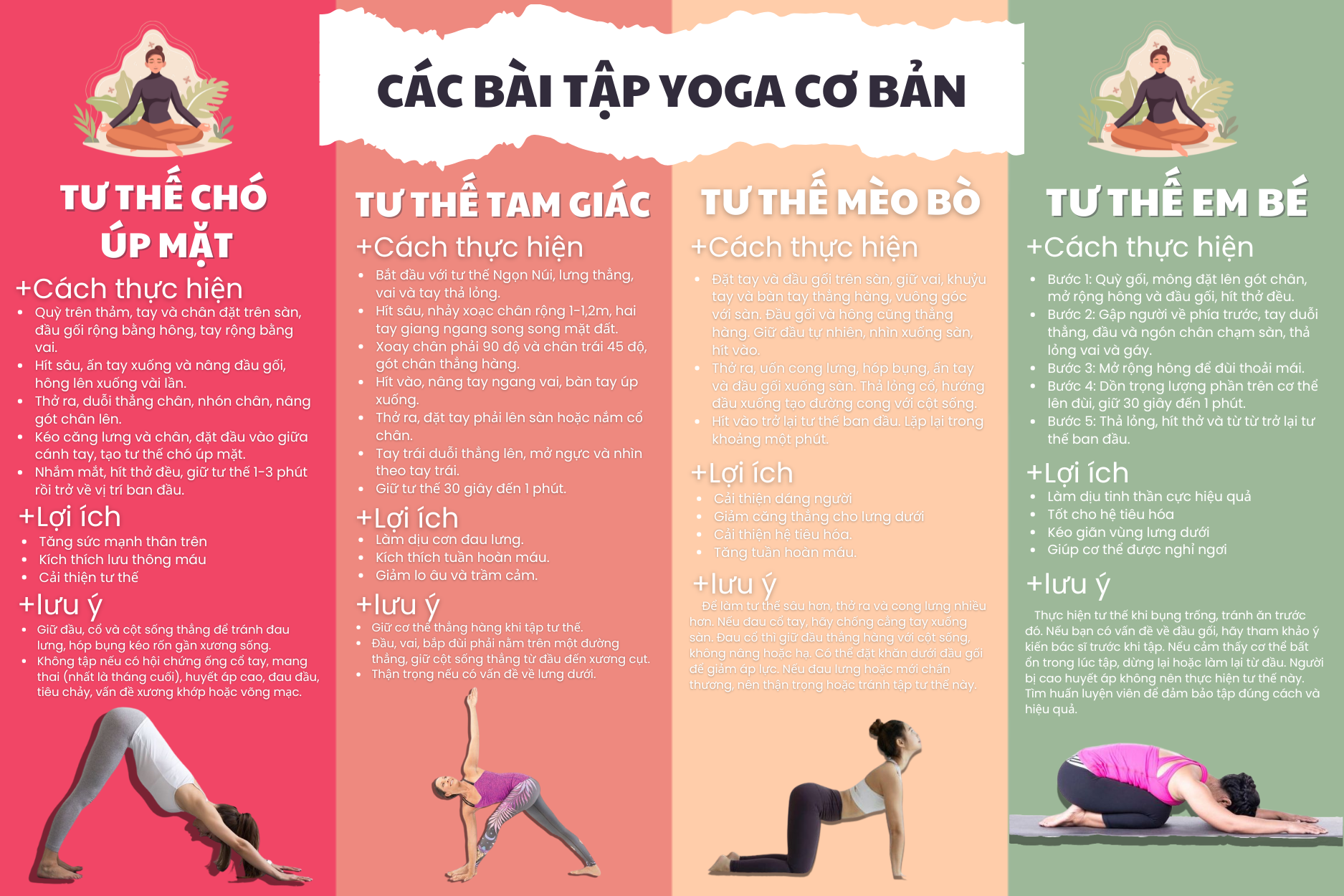 Yoga Cho Người Mới Bắt Đầu: Hành Trình Chạm Đến Sức Khỏe Và Bình An - Phần 1 - Yoga Online - Tập Yoga Tại Nhà