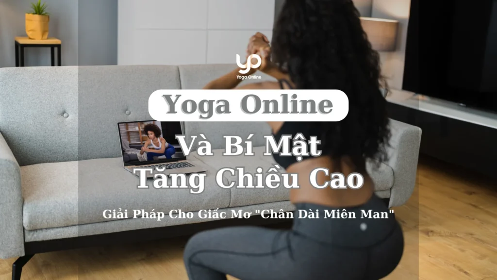 yoga-online-tang-chieu-cao