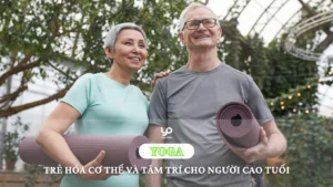 yoga-cho-nguoi-cao-tuoi