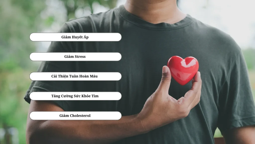 Yoga Online: Nâng Cao Sức Khỏe Tim Mạch Ngay Tại Nhà 1 yoga-online-nang-cao-suc-khoe-tim-mach-1