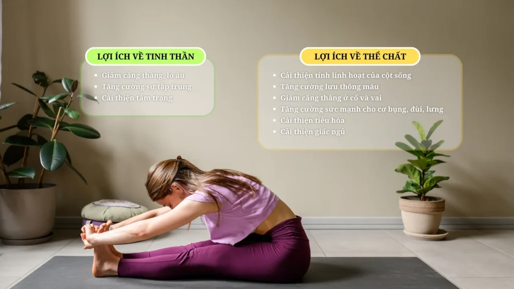 Yoga Cho Người Mới: Khám Phá Lợi Ích Bất Ngờ Của Tư Thế Gập Người 1 yoga-cho-nguoi-moi-tu-the-gap-nguoi-1