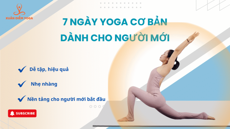 7 NGÀY YOGA CƠ BẢN DÀNH CHO NGƯỜI MỚI